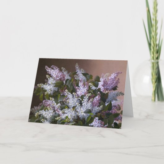 Lilacs Kaart (Voorkant)