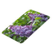 Lilacs Magnet Magneet (Linkerzijde)