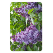 Lilacs Magnet Magneet (Verticaal)