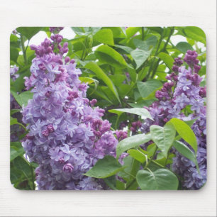 Lilacs Mousepad Muismat