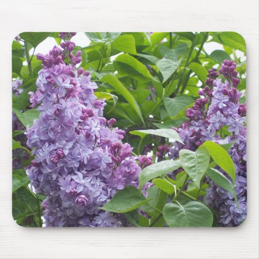 Lilacs Mousepad Muismat (Voorkant)