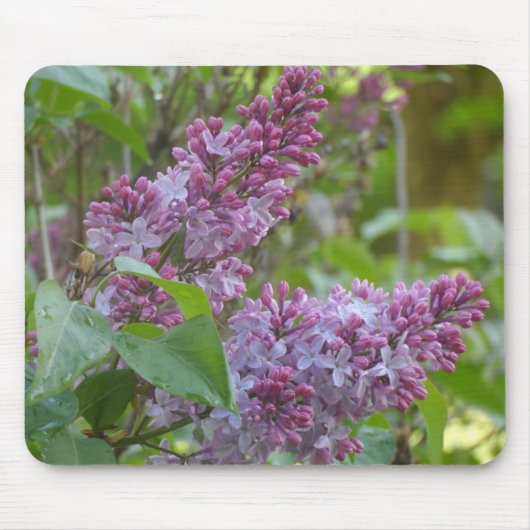 Lilacs Muismat (Voorkant)