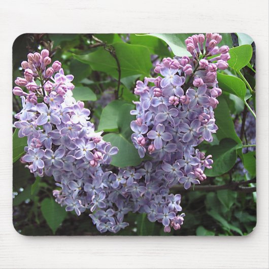 Lilacs Muismat (Voorkant)