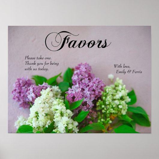 Lilacs op een bleek roze ondergrond poster (Voorkant)