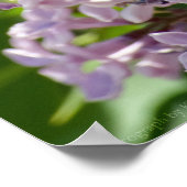 Lilacs P5390 Print (Hoek)