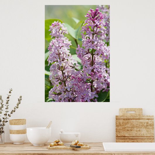Lilacs P5390 Print (Keuken)