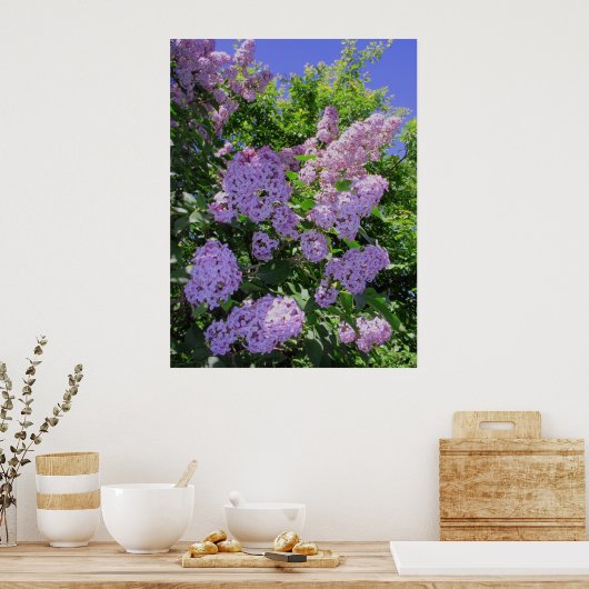 Lilacs Poster (Keuken)