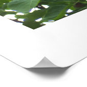 Lilacs Poster (Hoek)