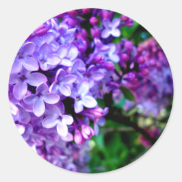 Lilacs Ronde Sticker