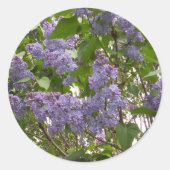 Lilacs-Stickers Ronde Sticker (Voorkant)