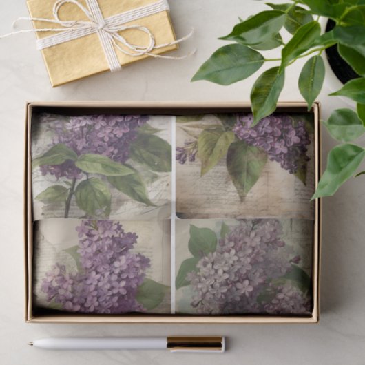 Lilacs Tissuepapier (Geschenk)