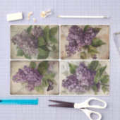 Lilacs Tissuepapier (Craft)