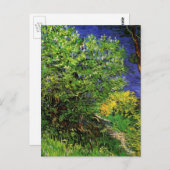 Lilacs van Vincent van Gogh,  Garden Flowers Briefkaart (Voorkant / Achterkant)