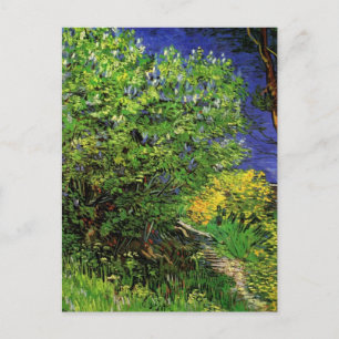 Lilacs van Vincent van Gogh,  Garden Flowers Briefkaart
