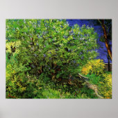 Lilacs van Vincent van Gogh,  Garden Flowers Poster (Voorkant)