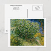 Lilacs, Vincent van Gogh Briefkaart (Voorkant / Achterkant)