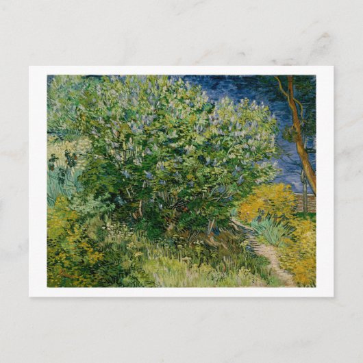Lilacs, Vincent van Gogh Briefkaart (Voorkant)