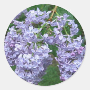 Lilacs voor Moederdag Ronde Sticker