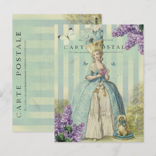 Lilas au printemps briefkaart (Voorkant / Achterkant)