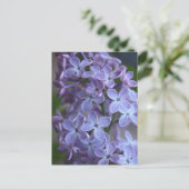 Lilas floral tree in blom briefkaart (Staand voorkant)