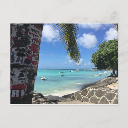 L'île Maurice - Trou aux Bîches Briefkaart (Voorkant)