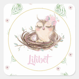 Lilibet Uil Baby Meisje Shower Vierkante Sticker