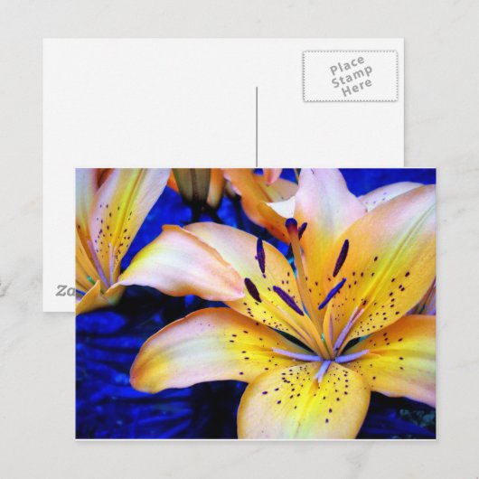 LilienArt Briefkaart (Voorkant / Achterkant)