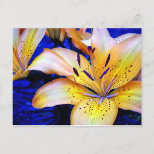 LilienArt Briefkaart