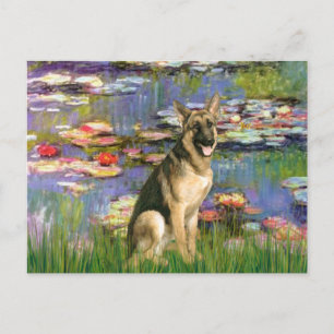 Lilies 2 - Duitse Herdershond 2 Briefkaart