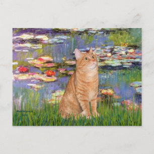 Lilies 2 - Oranje tabby kat 46 Briefkaart
