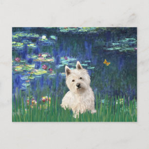Lilies 5 - Westie 1 Briefkaart