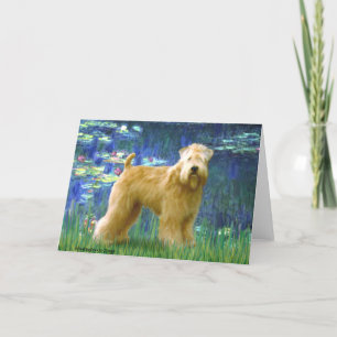 Lilies 5 - Wheaten Terrier (staand) Kaart