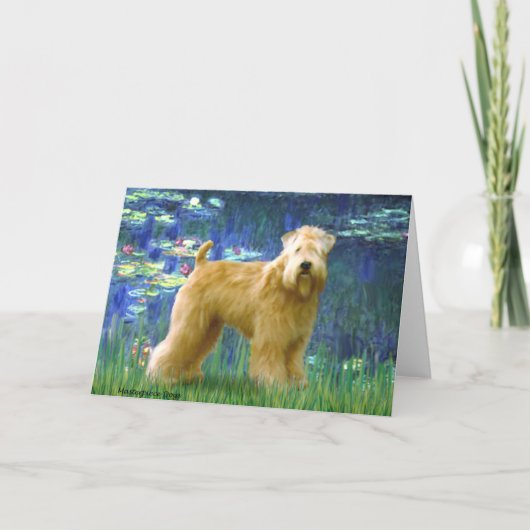 Lilies 5 - Wheaten Terrier (staand) Kaart (Voorkant)