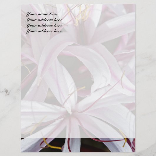 Lilies Briefhoofd Ontwerp (Voorkant)