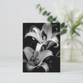 Lilies Briefkaart (Staand voorkant)