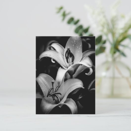 Lilies Briefkaart (Staand voorkant)