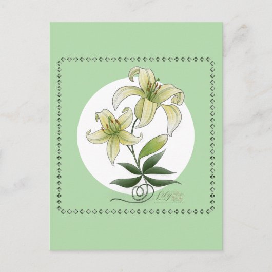 Lilies Briefkaart (Voorkant)