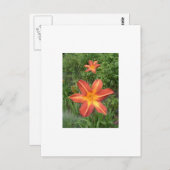 :Lilies Briefkaart (Voorkant / Achterkant)