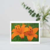 Lilies-Briefkaart Briefkaart (Staand voorkant)
