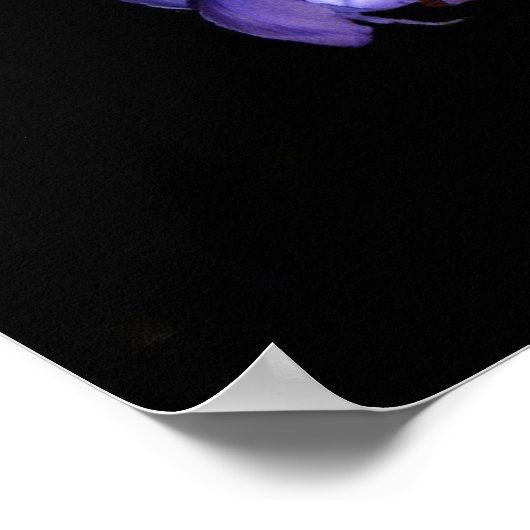 Lilies, bruinvissen en druiven poster (Hoek)