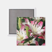 Lilies glimlachen Fotografie Magnet (Voorkant / Achterkant)