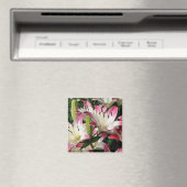 Lilies glimlachen Fotografie Magnet (Insitu (Vaatwasser))
