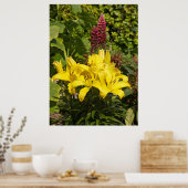 Lilies in de tuin. poster (Keuken)