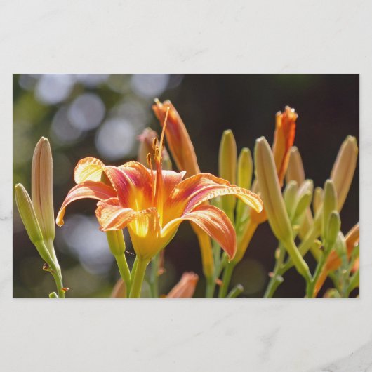Lilies in de zon briefpapier (Voorkant)