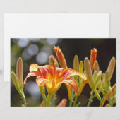 Lilies in de zon briefpapier (Voorkant / Achterkant)