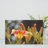 Lilies in de zon briefpapier (Staand voorkant)