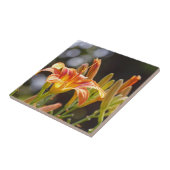 Lilies in de zon tegeltje (Zijkant)