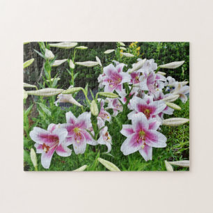 Lilies in het veld legpuzzel