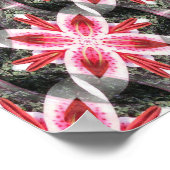 Lilies in Love.... Poster (Hoek)