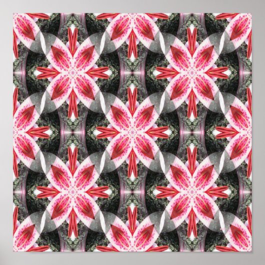 Lilies in Love.... Poster (Voorkant)